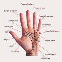 Palmistry Services 